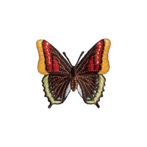 Thermocollant: Papillon multicolore