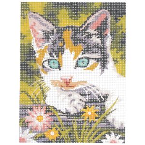 Canevas: tête de chat