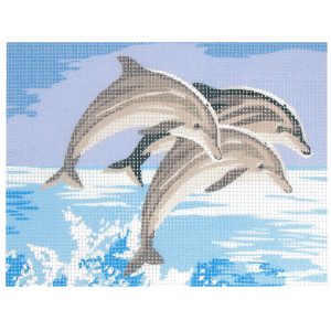 Canevas: Dauphin