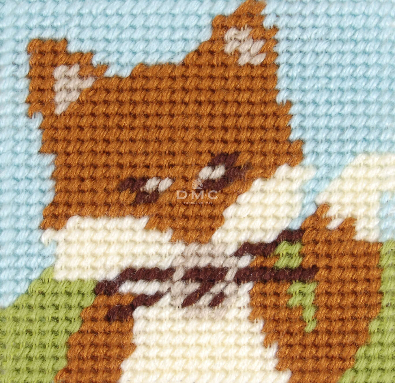 LE RENARD – Image 2