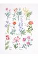 KIT BRODERIE : Planche Botanique