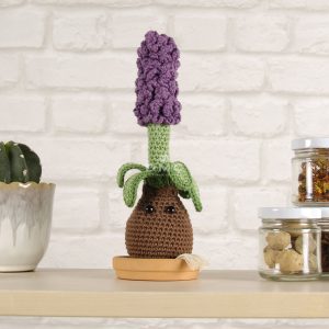 KIT AMIGURUMI