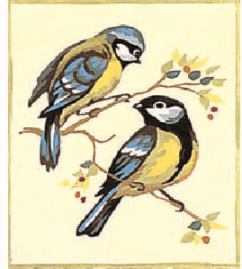 Canevas: Mésange